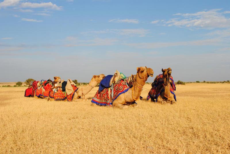 SIZZLING KUTCH TOUR