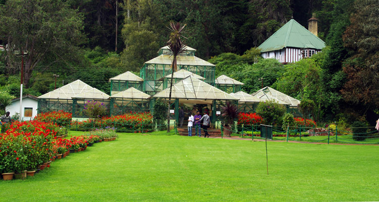 3 Day Trip from Bangalore | Ooty & Coonoor | 2N Ooty