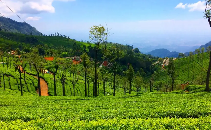 3 Day Trip from Bangalore | Ooty & Mysore | 1N Mysore & 1N Ooty
