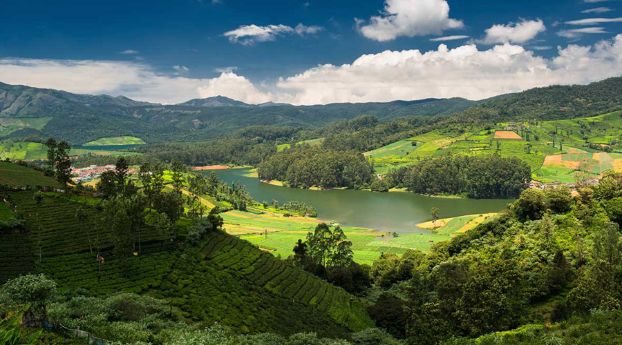 3 Day Trip from Ooty | Ooty & Mudumalai | 2N Ooty